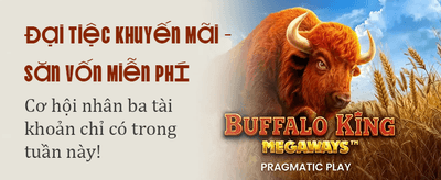 Xem Trực Tiếp Đỉnh Cao banner